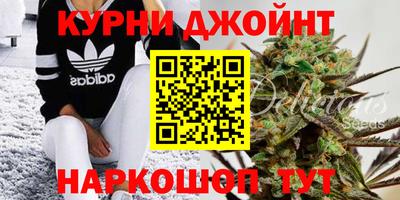 гидра Краснознаменск