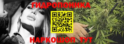 гидра Краснознаменск