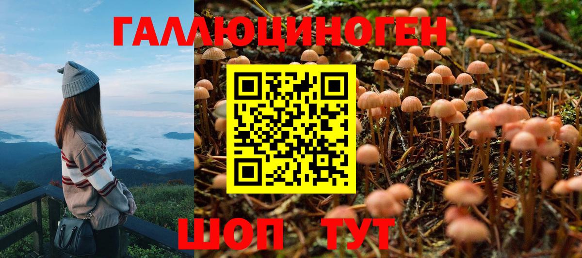 Елец  Галлюциногенные грибы Magic Shrooms  Вход с VPN 